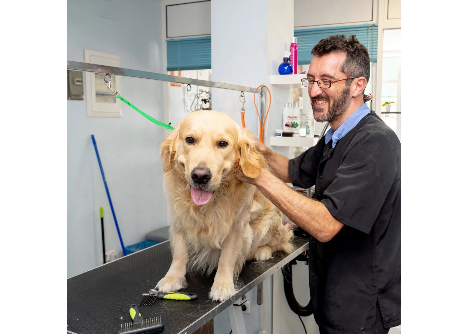 Jelly Pet Grooming Loop Lime Green 46 Cm X 1 Cm - Image 2