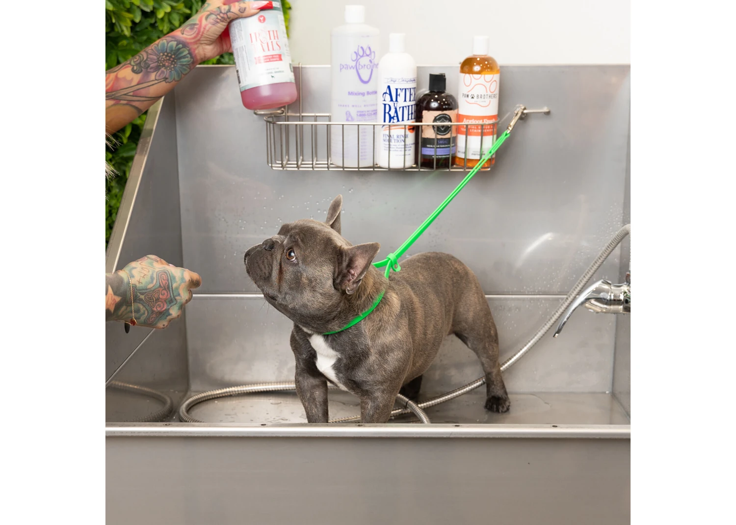 Jelly Pet Grooming Loop Lime Green 46 Cm X 1 Cm - Image 5