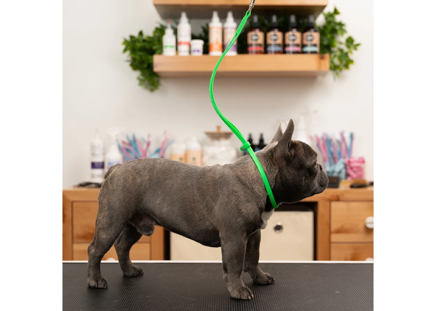 Jelly Pet Grooming Loop Lime Green 46 Cm X 1 Cm - Image 3