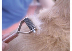 Show Tech Speed Stripper Coarse - 8 Blades Deshedding Tool