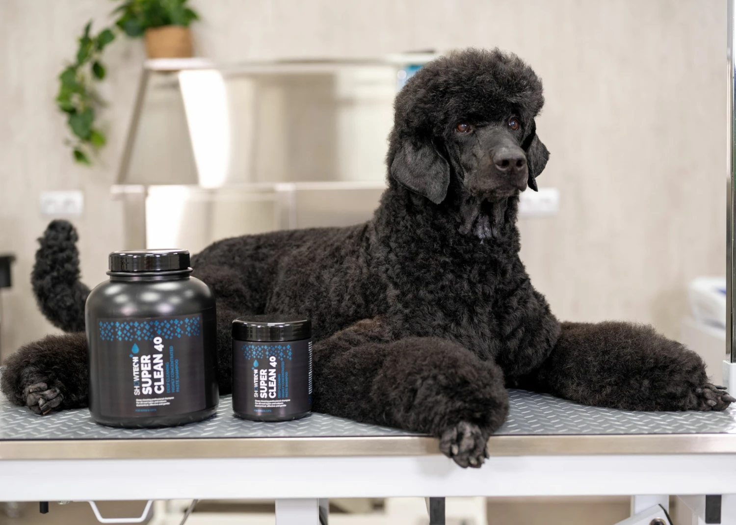 Show Tech+ Super Clean 40 Shampoo 4.5 L - Image 6