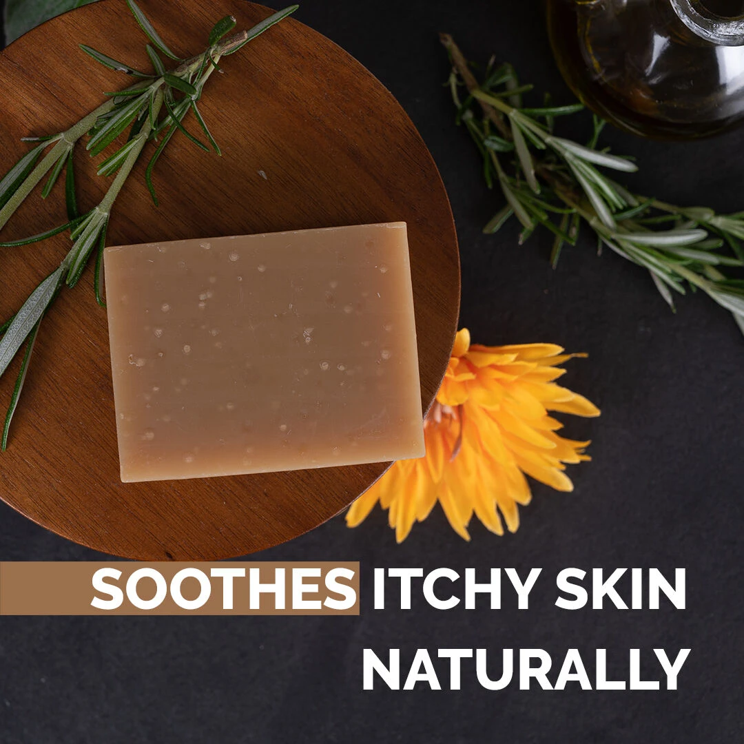 Show Tech+ Bubble Bliss Shampoo Bar - Image 3