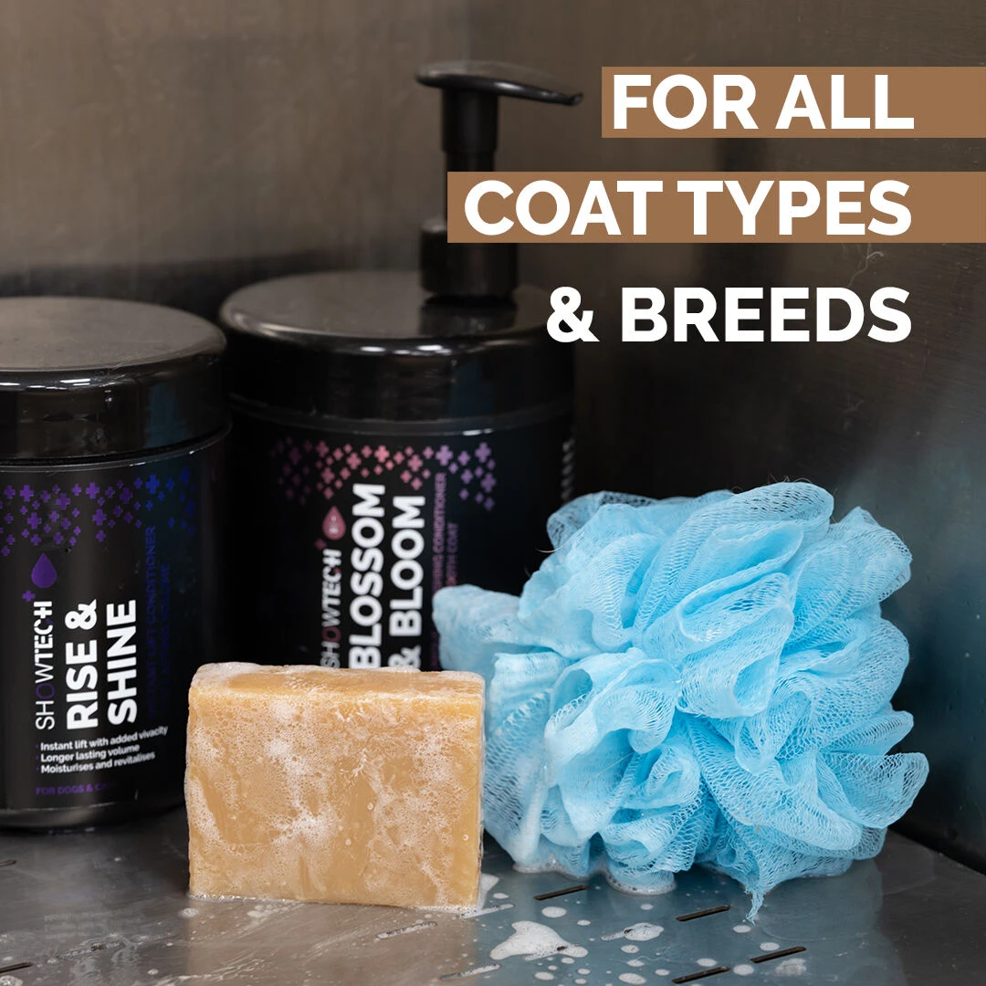 Show Tech+ Bubble Bliss Shampoo Bar - Image 5